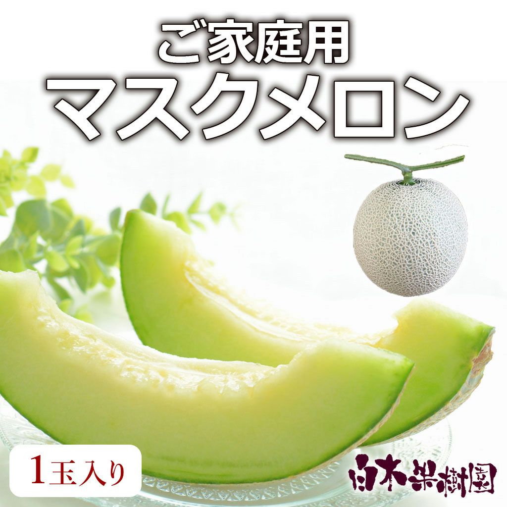 送料込】マスクメロン訳ありB級品1玉入り | 白木果樹園 送料込】マスクメロン訳ありB級品1玉入り | 白木果樹園