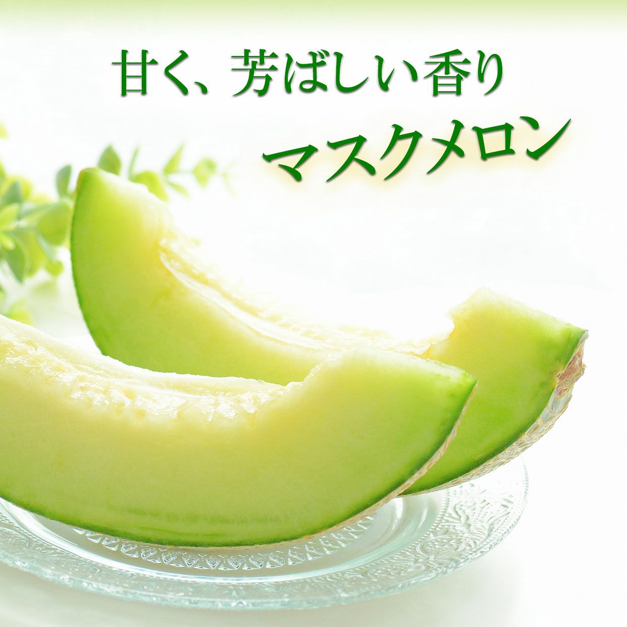 甘く芳ばしい香りのマスクメロン