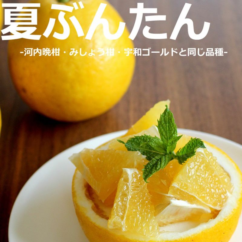 夏文旦と同じ品種の柑橘