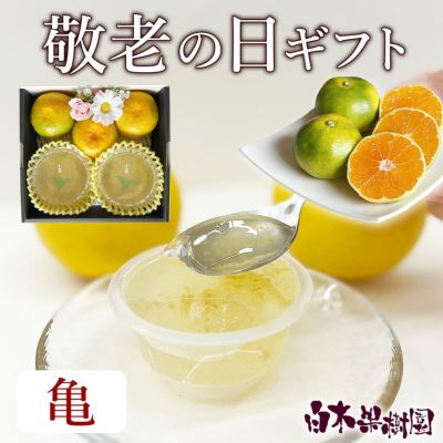 新品未使用 370点掲載 188P ギフト 敬老の日 プレゼント 今期 送料込】敬老の日ギフト＜亀セット＞ | 白木果樹園