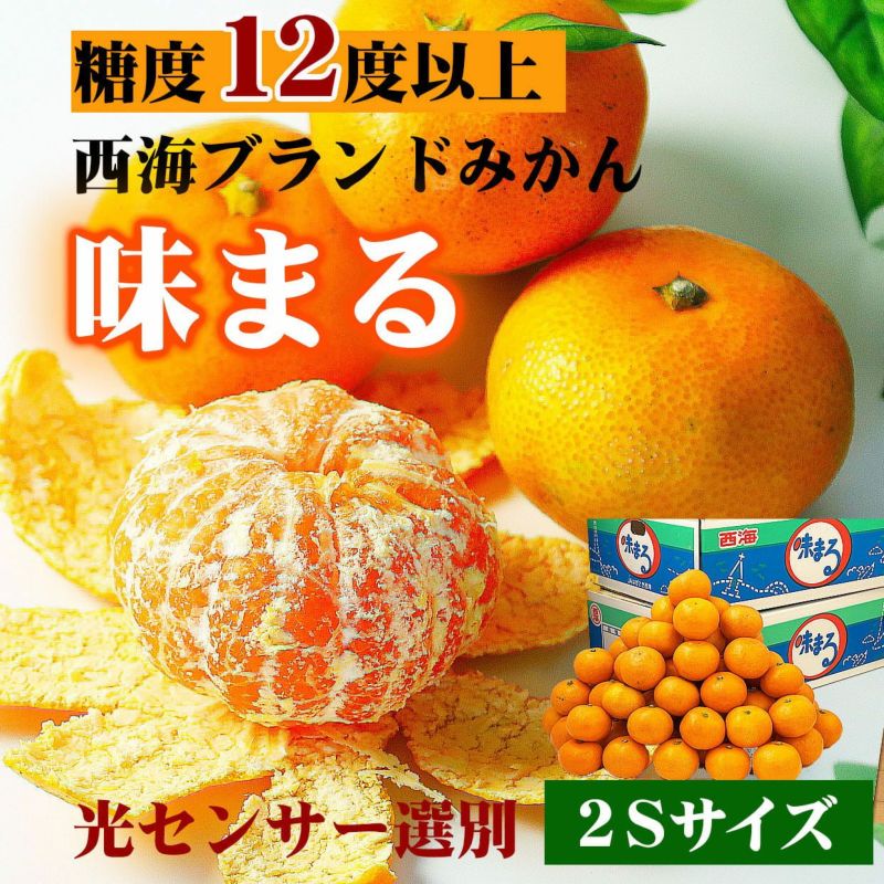 【送料込】【訳ありセール】味まるみかん2Sサイズ 5kg【こつぶちゃん】 | 白木果樹園