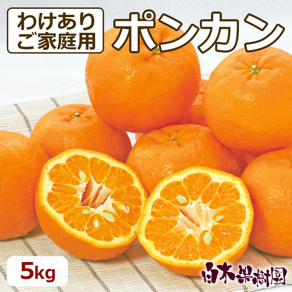 立目ポンカンわけありご家庭用約5kg【送料込】 | 白木果樹園