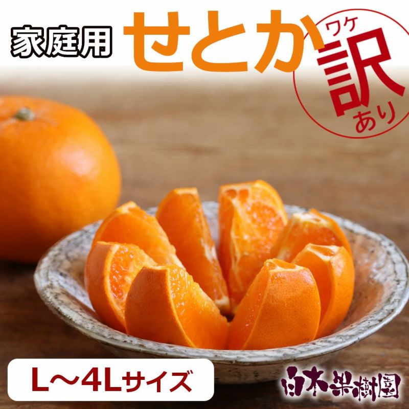 せとか家庭用 L～4Lサイズ