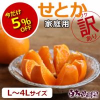 せとか家庭用 L～4Lサイズ