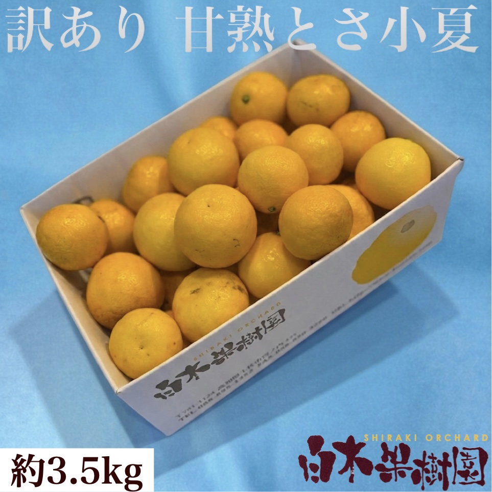 甘熟とさ小夏わけありご家庭用 約3.5kg