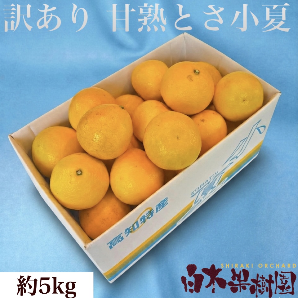 甘熟とさ小夏わけありご家庭用 約5kg