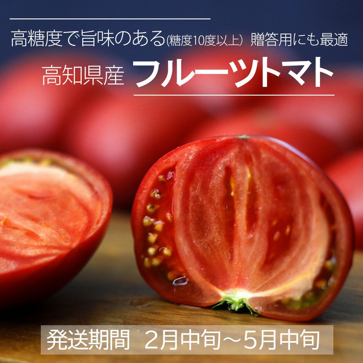 北海道フルーツトマト 2箱【極濃味】(このみ)超濃厚 旨味 糖度10 北海道フルーツトマト 2箱【極濃味】(このみ)超濃厚 旨味 糖度10
