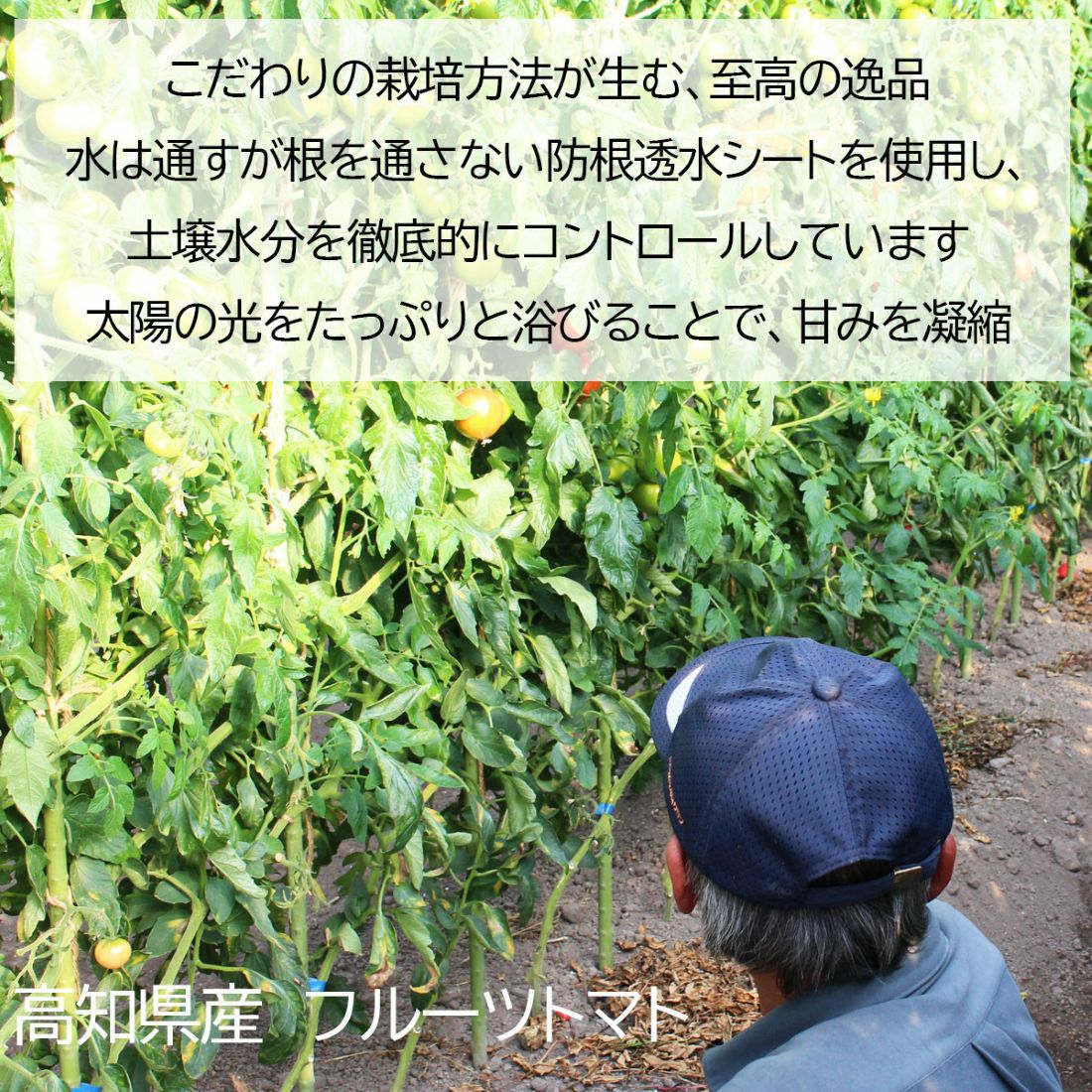 栽培方法