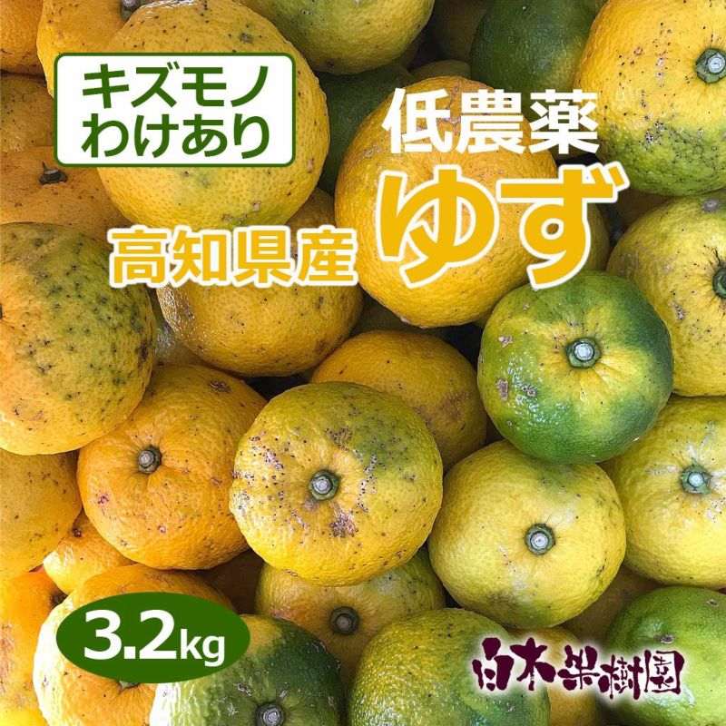 高知県産ゆず訳ありキズモノ約3.2kg