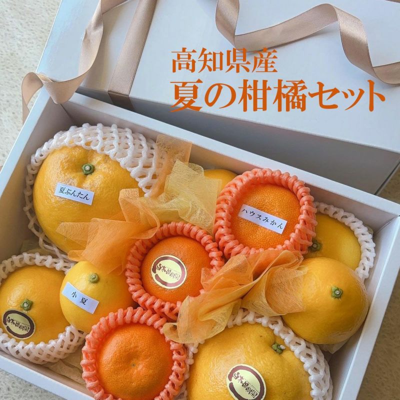 柑橘セット