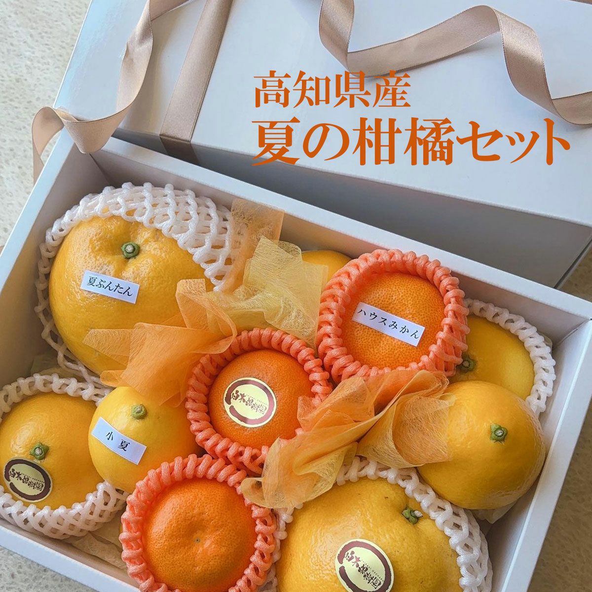 柑橘セット
