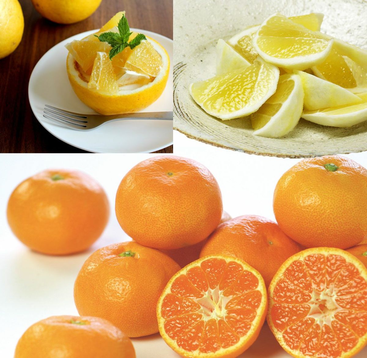 夏ぶんたんと小夏とハウスみかんのギフトセット