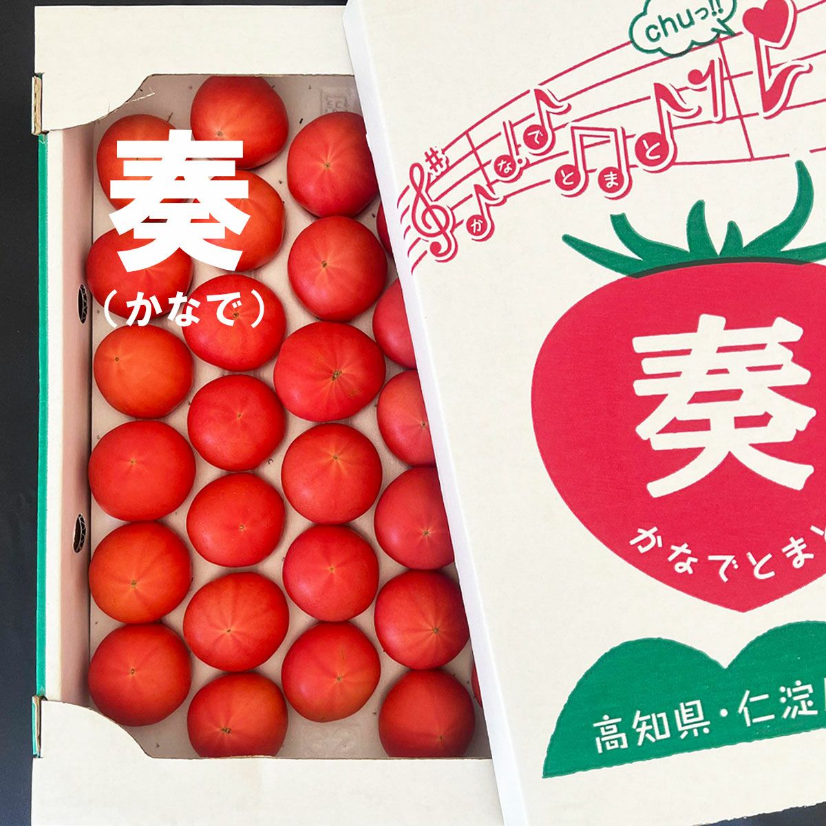 トマト ウルとま®TYみわく | Vilmorin Mikado Japan