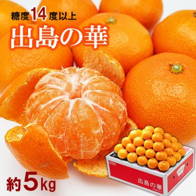 数量限定】出島の華2Sサイズ約5kg【送料込】 | 白木果樹園