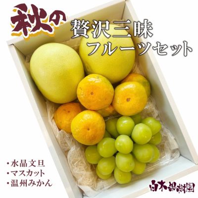 柑橘物語 ミックス6缶セット | 【BEMAC公式通販】えひめ自然の