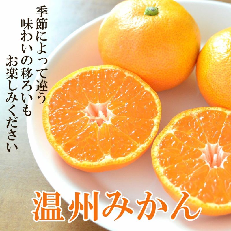 季節によって違う味わいの移ろいもお楽しみいただける温州みかん