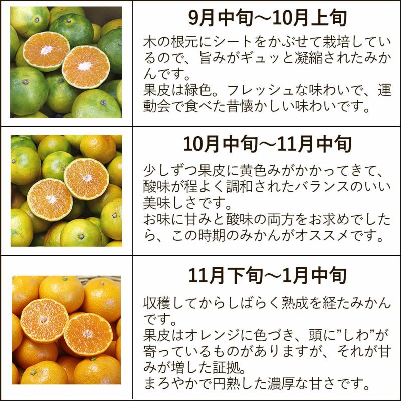 季節によって違うみかん