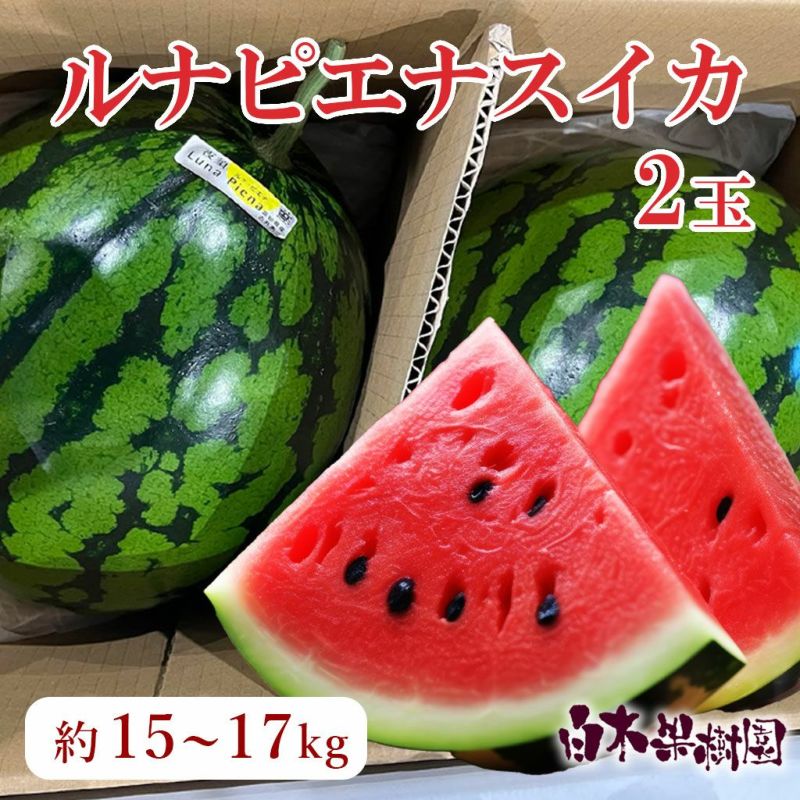 ルナピエナスイカ2玉