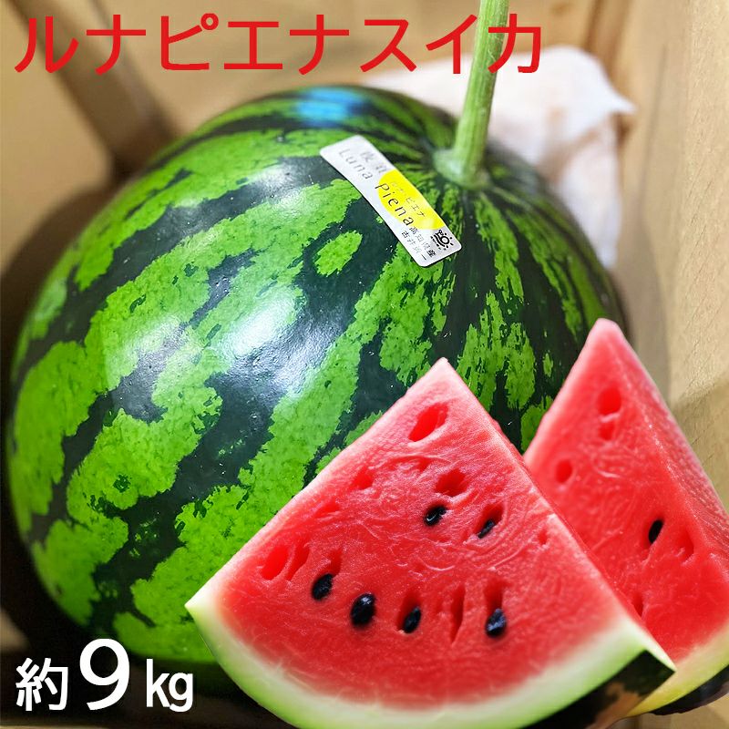ルナピエナスイカ1玉