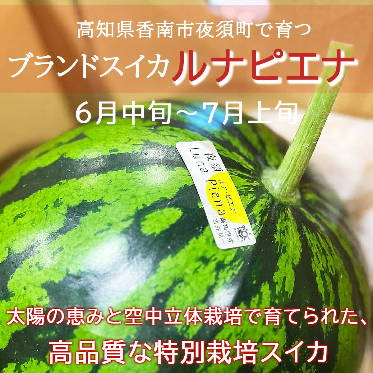 発送時期