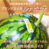 発送時期