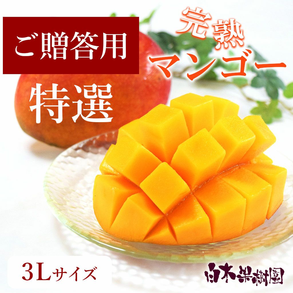ご贈答用　特選秀品　完熟マンゴー　3Lサイズ　2個入り