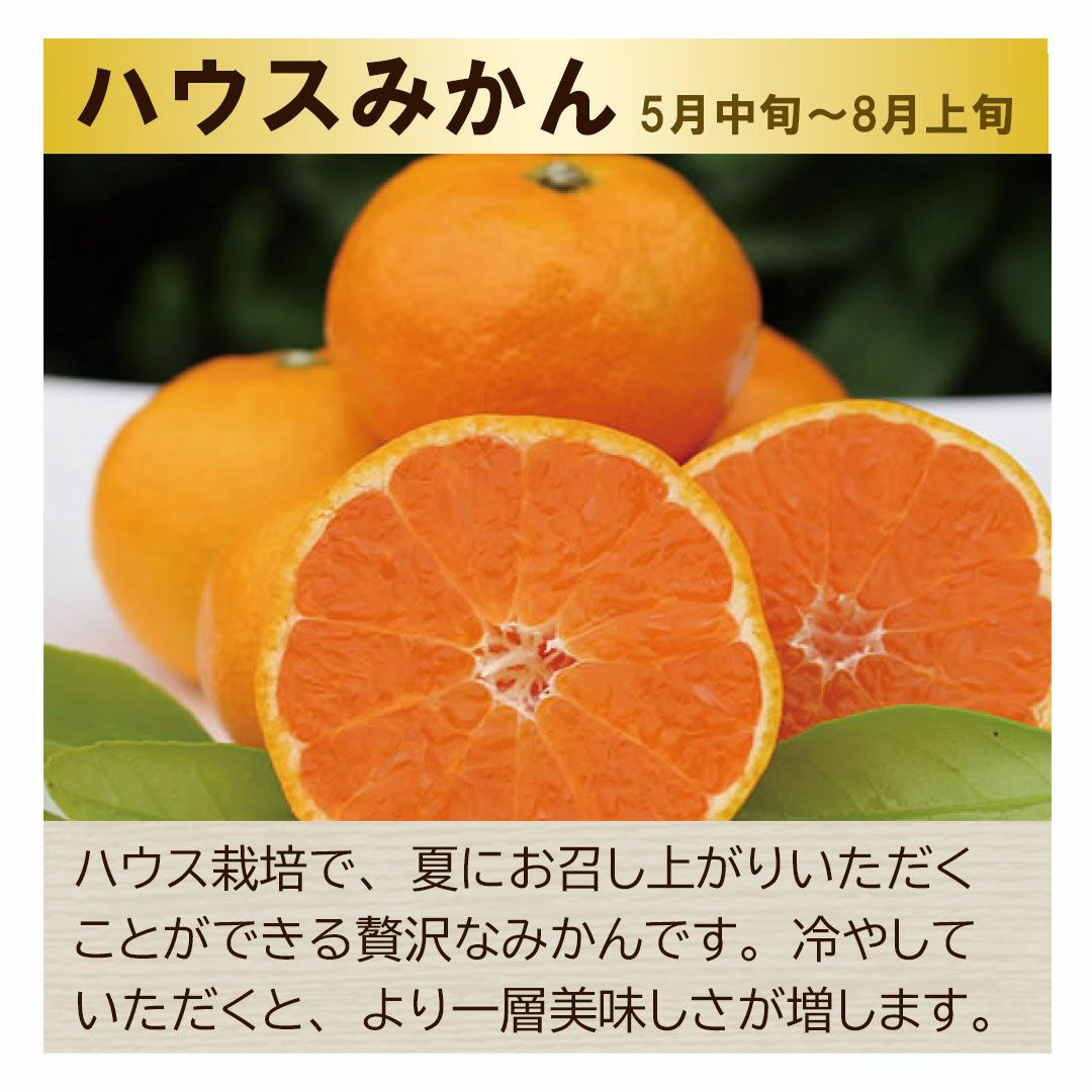 ハウスみかん