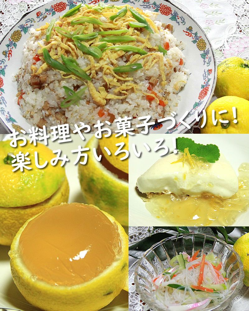 パネル生地 ゆずりんごn② パネル生地 ゆずりんごn② パネル生地 ゆず