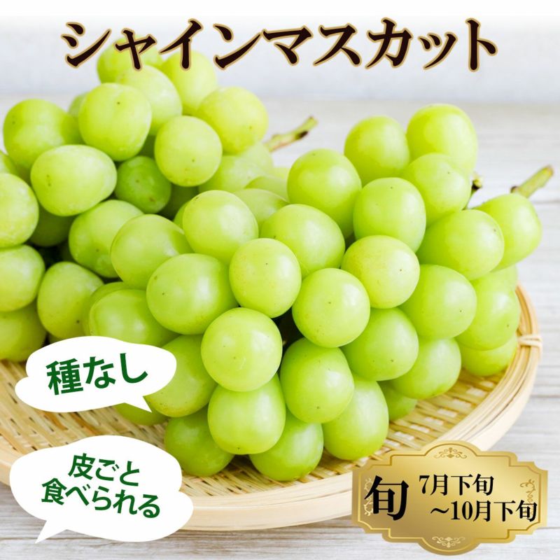 旬は7月下旬～10月下旬