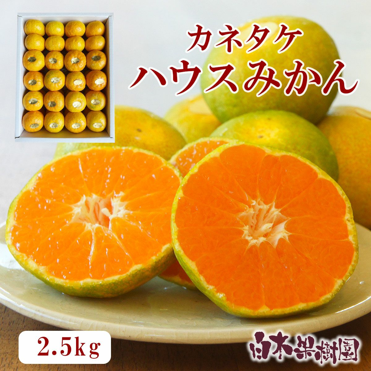カネタケハウスみかん 約2.5kg 2Sサイズ 家庭用