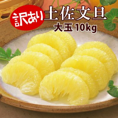 土佐文旦（ぶんたん、ブンタン）