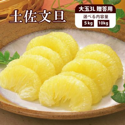 土佐文旦（ぶんたん、ブンタン）