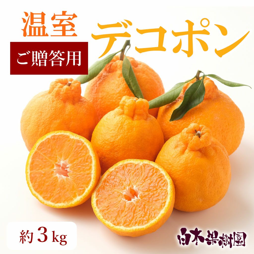 しらぬい（不知火）